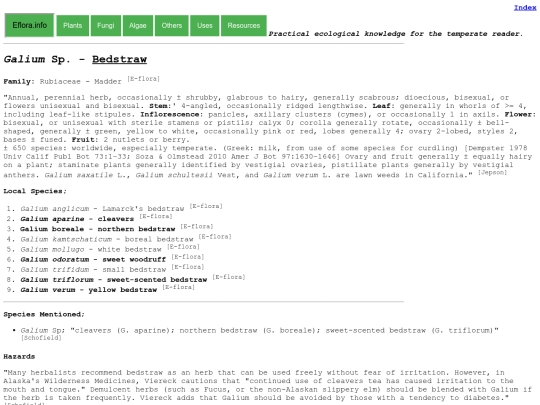 Galium Sp screenshot