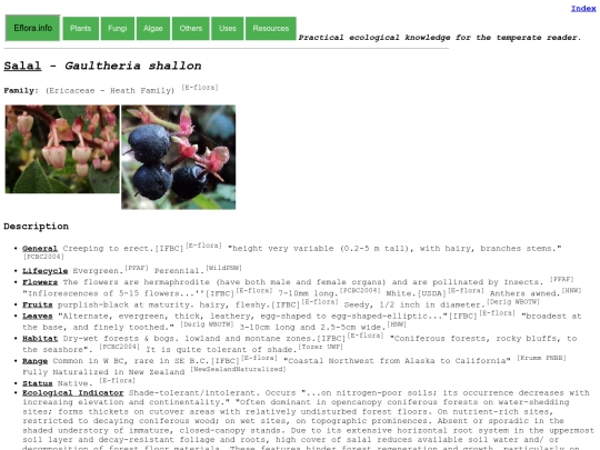 Gaultheria shallon screenshot