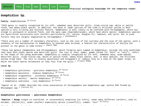 Gomphidius Sp screenshot
