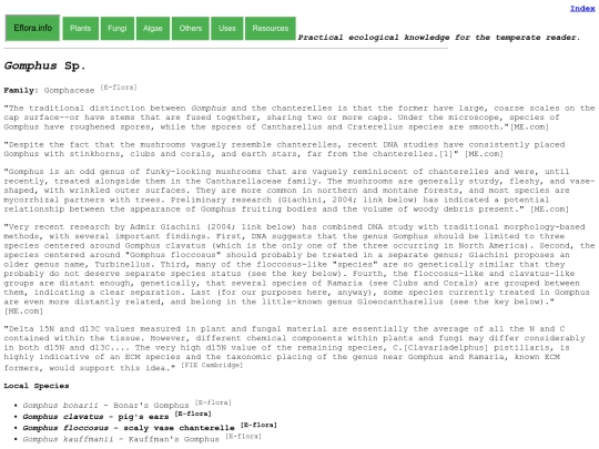 Gomphus Sp screenshot