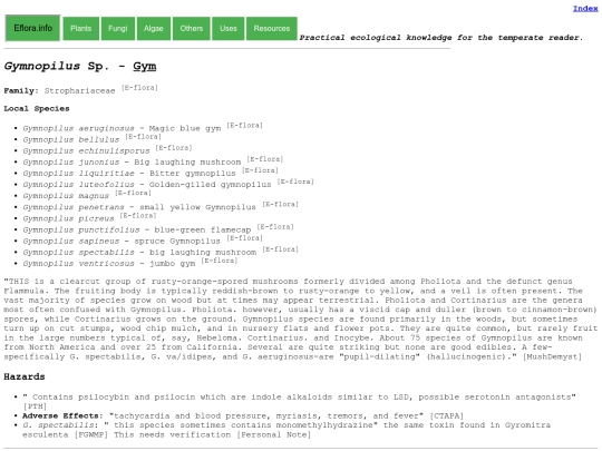 Gymnopilus Sp screenshot
