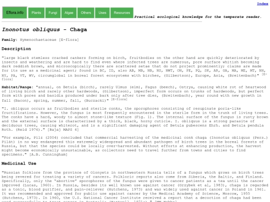 Inonotus obliquus screenshot