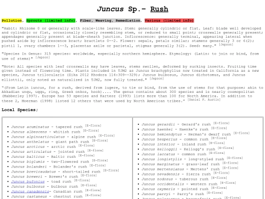 Juncus Sp screenshot