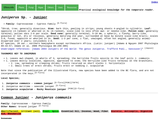 Juniperus Sp screenshot