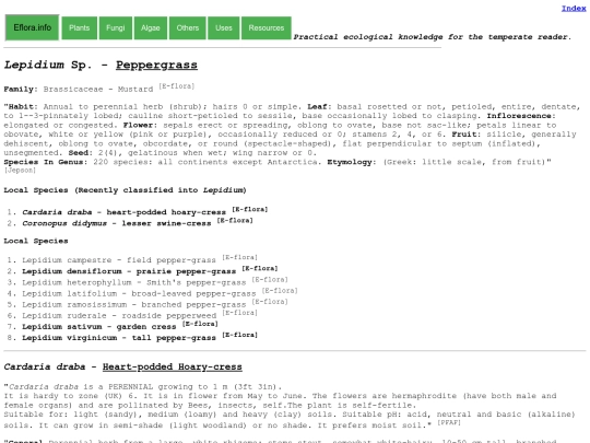 Lepidium Sp screenshot