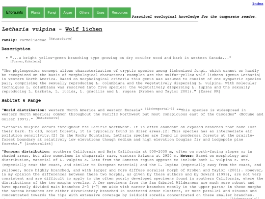 Letharia vulpina screenshot