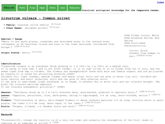 Ligustrum vulgare screenshot