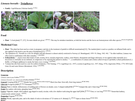 Linnaea borealis screenshot