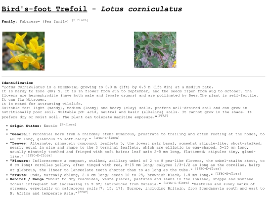 Lotus corniculatus screenshot