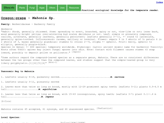 Mahonia screenshot
