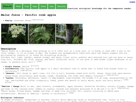 Malus fusca screenshot