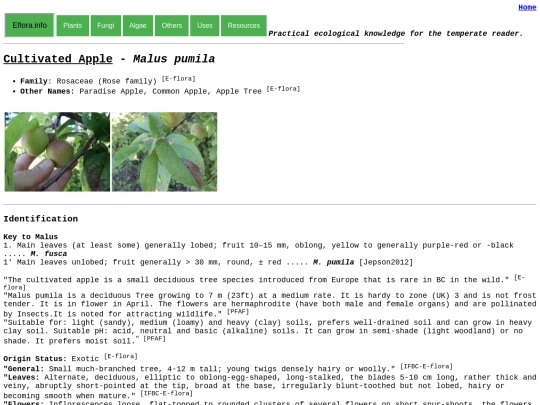 Malus pumila screenshot