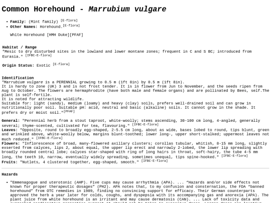 Marrubium vulgare screenshot