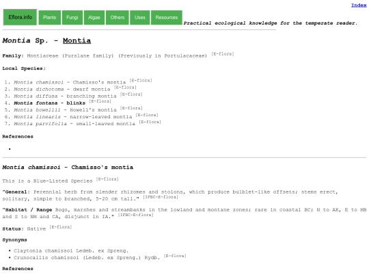 Montia Sp screenshot