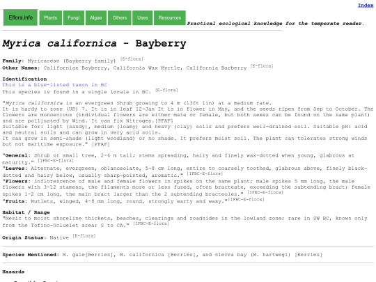 Myrica californica screenshot