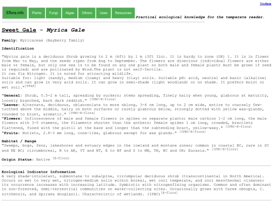 Myrica gale screenshot