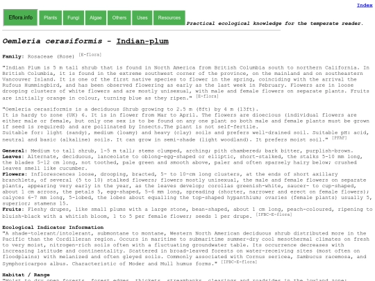 Oemleria cerasiformis screenshot