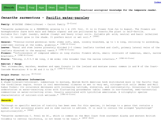 Oenanthe sarmentosa screenshot