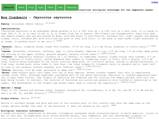 Oxycoccus oxycoccos screenshot