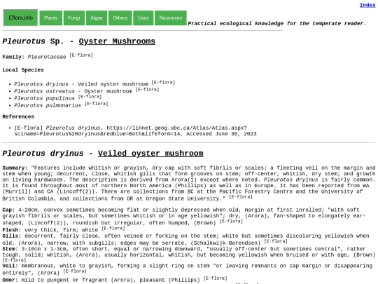 Pleurotus screenshot