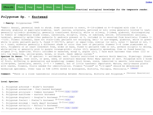 Polygonum screenshot