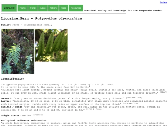 Polypodium glycyrrhiza screenshot