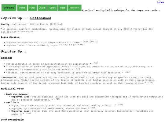 Populus Sp screenshot