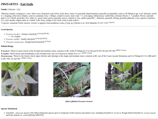 Prosartes Sp screenshot