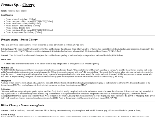 Prunus Sp screenshot