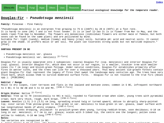 Pseudotsuga menziesii screenshot