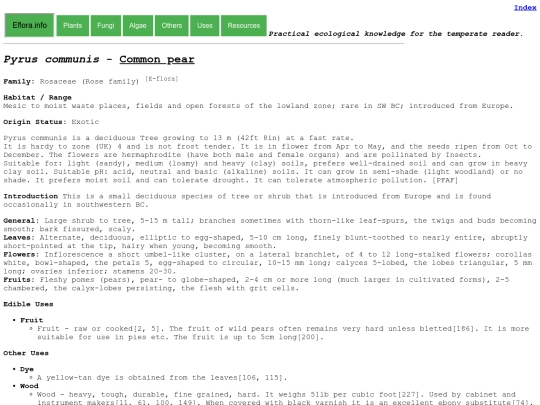 Pyrus communis screenshot