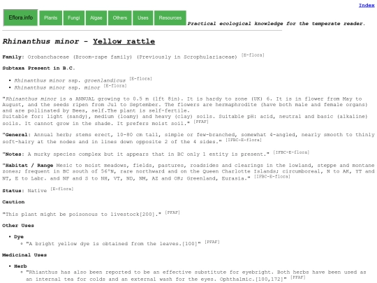 Rhinanthus minor screenshot