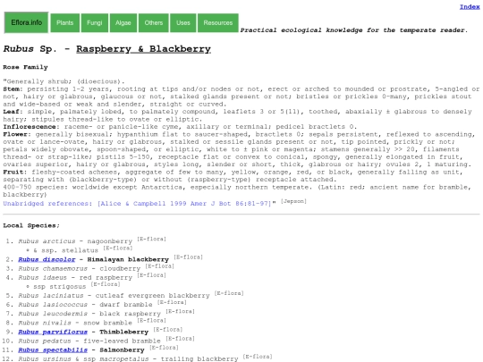 Rubus Sp screenshot