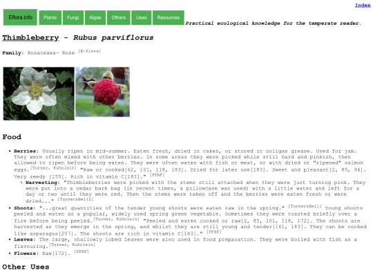 Rubus parviflorus screenshot