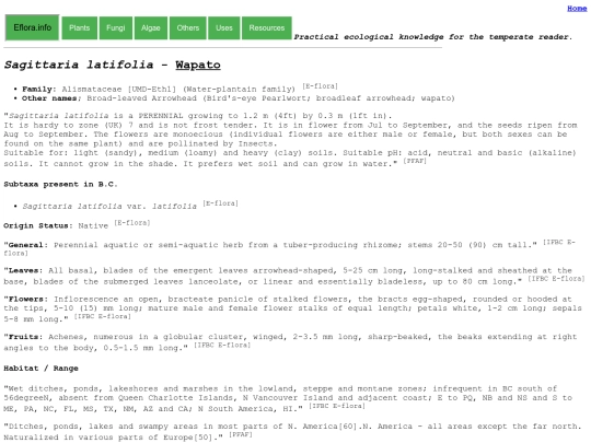 Sagittaria latifolia screenshot