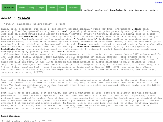 Salix Sp screenshot