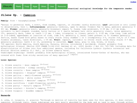 Silene Sp screenshot