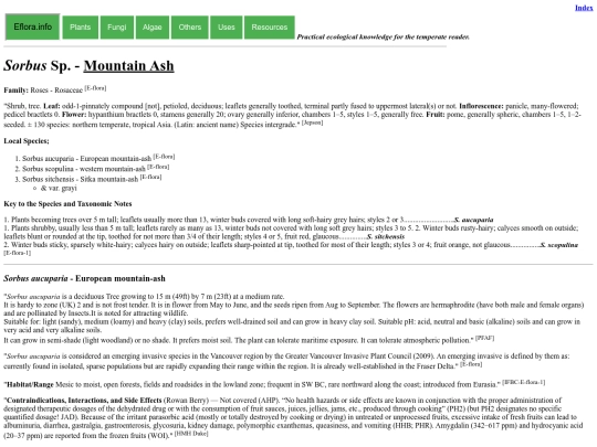 Sorbus Sp screenshot