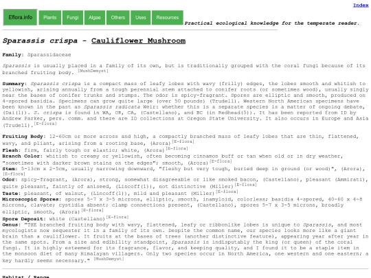 Sparassis crispa screenshot