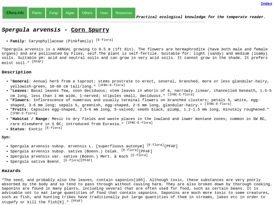 Spergula arvensis screenshot