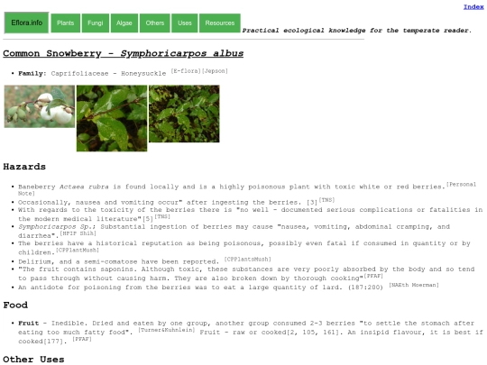 Symphoricarpos albus screenshot