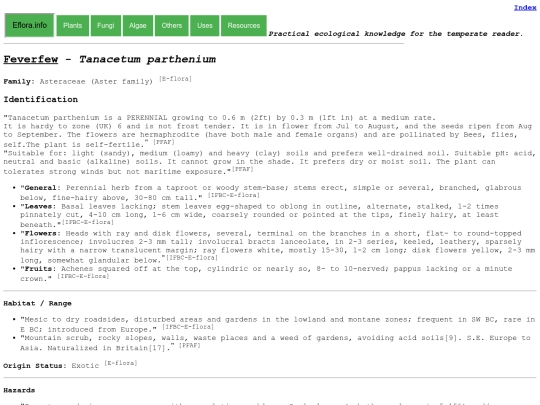 Tanacetum parthenium screenshot