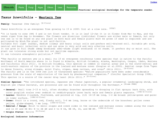 Taxus brevifolia screenshot