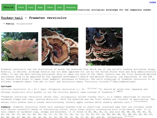Trametes versicolor screenshot