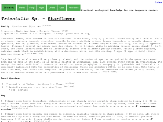 Trientalis Sp screenshot
