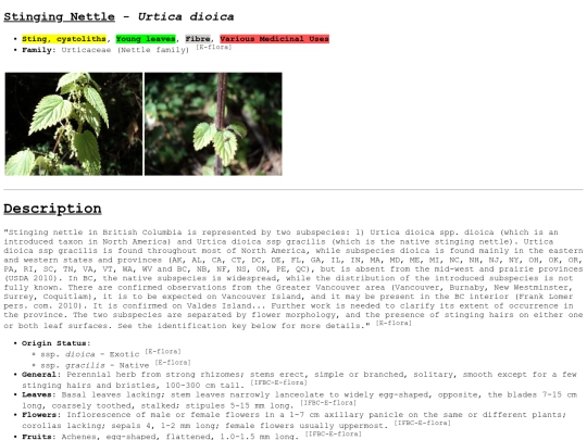 Urtica dioica screenshot