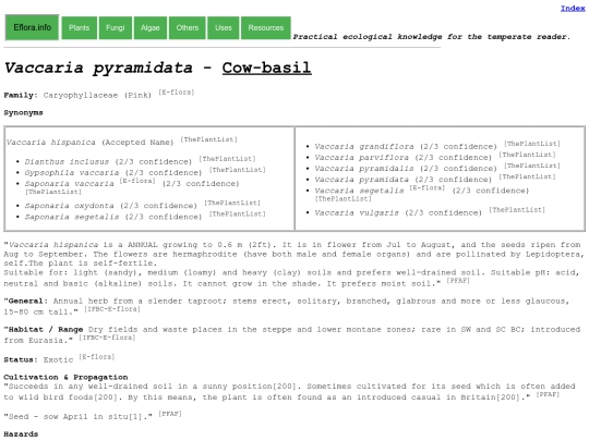 Vaccaria pyramidata screenshot