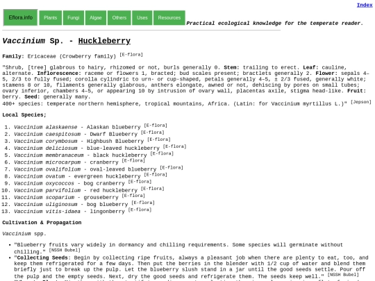 Vaccinium Sp screenshot