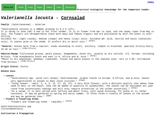 Valerianella locusta screenshot