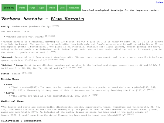 Verbena hastata screenshot